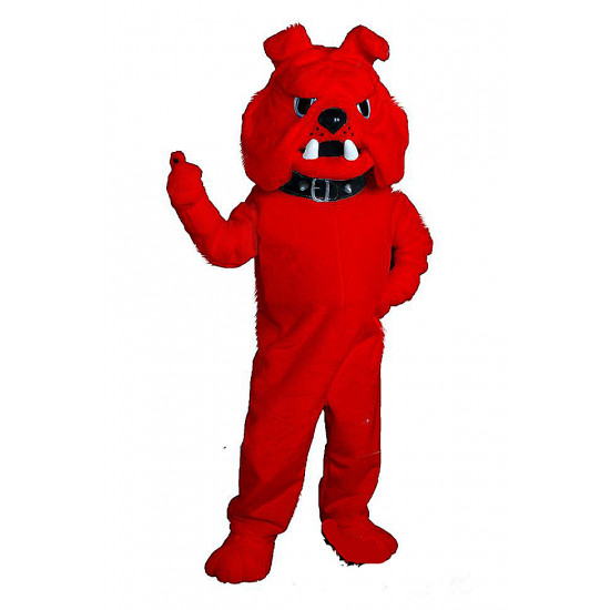 Bulldog Mascot Costume 15