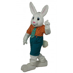 Deluxe Boy Bunny Mascot Costume 675
