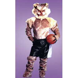 Pro Wildcat Mascot Costume #320 
