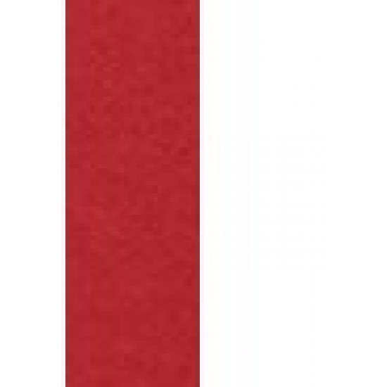 Scarlet/White 