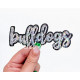 Team Mascot Cursive Sequin Iron On Patch-Small 