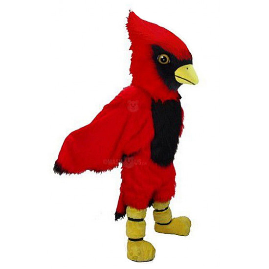Baby Red Cardinal Mascot Costume T0147