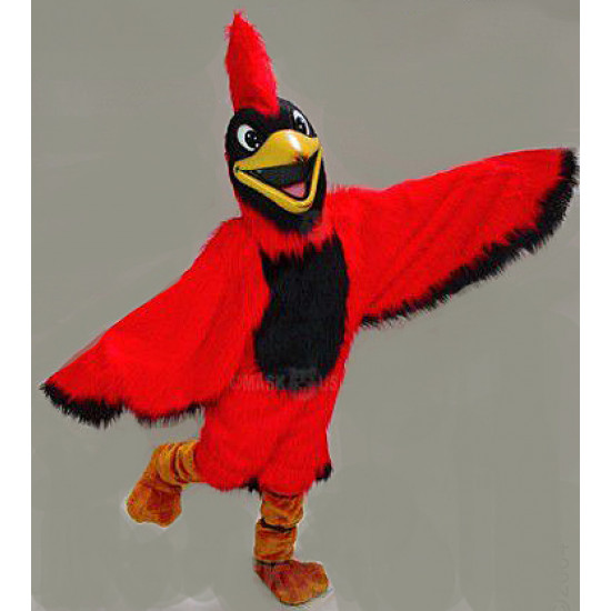 Happy Red Cardinal Mascot Costume 42046