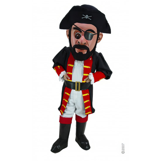 Captain Blythe Mascot Costume T0296