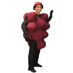 Red Grapes Mascot costume #PP73-Z 