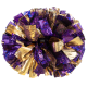 Junior Custom Holographic Pom Poms JHS(Z)
