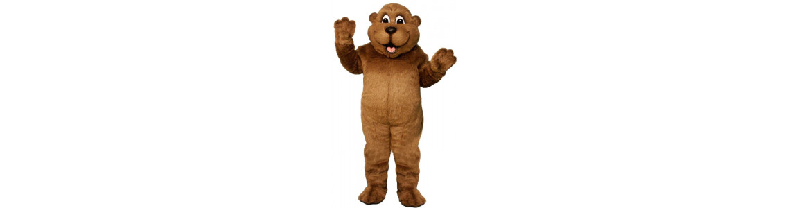 Forest Animal Mascot Costumes