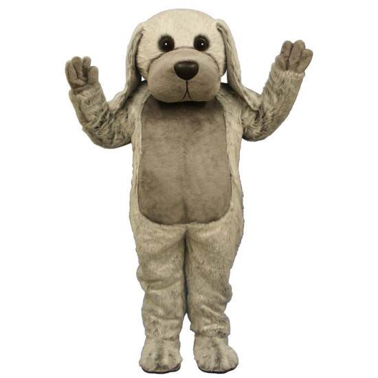 Mascot costume #884-Z Big Dog