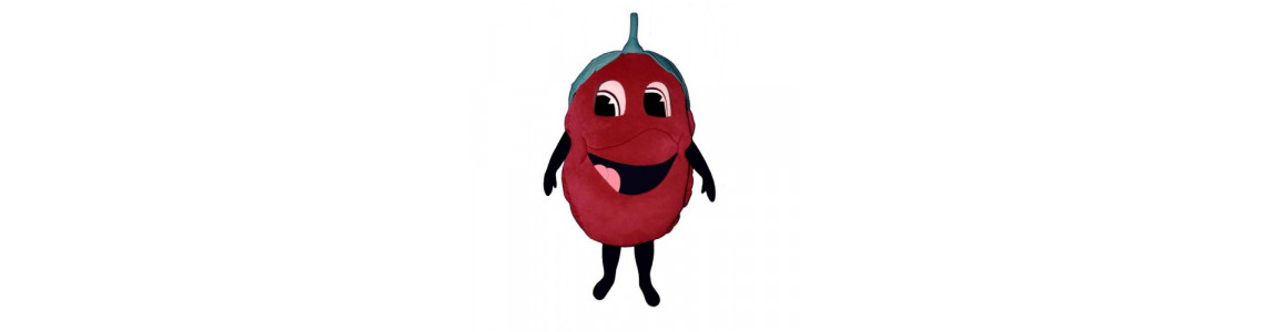 Fruit Mascot Costume