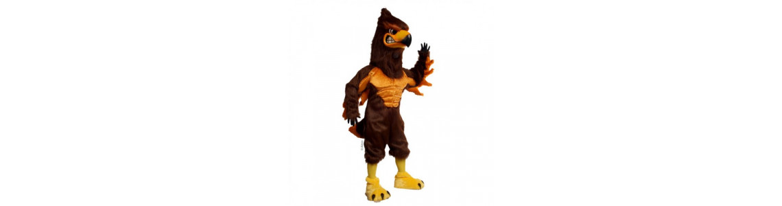 Hawk Mascot Costumes