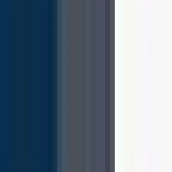 Navy/graphite/white 