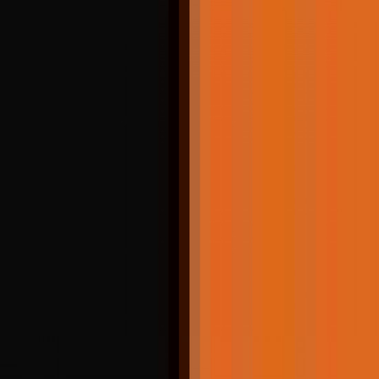 Black/Burnt Orange 