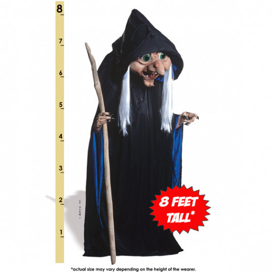 Rosey Witch Mascot Costume #181 
