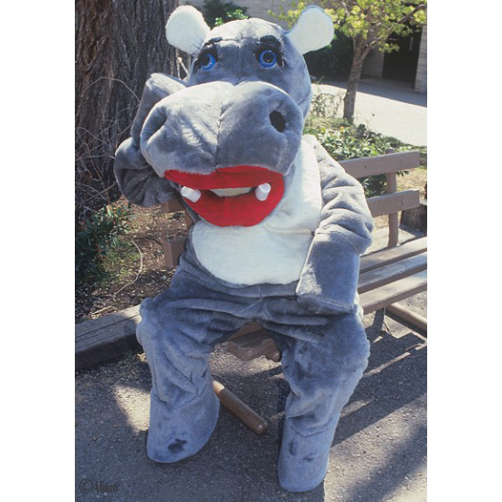 Hillary Hippo Mascot Costume #74 