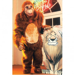 Orangutan Mascot Costume #82 