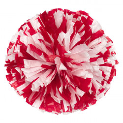 Two Color Mixed Wet Look Cheerleading Poms VSH-M2 