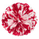Two Color Mixed Wet Look Cheerleading Poms VSH-M2 