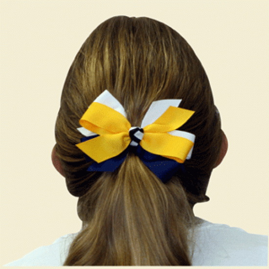 PIN200 - Small Pinwheel Bow 