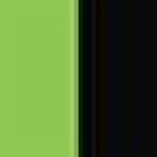 Lime/Black 