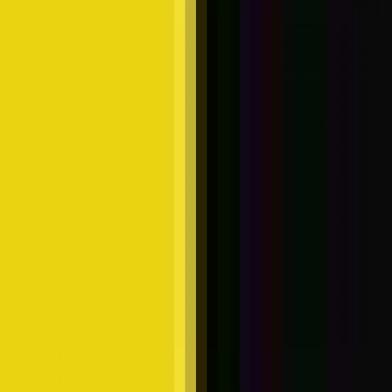 Bright Yellow/Black 
