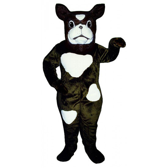 Mascot costume #817-Z Boxer