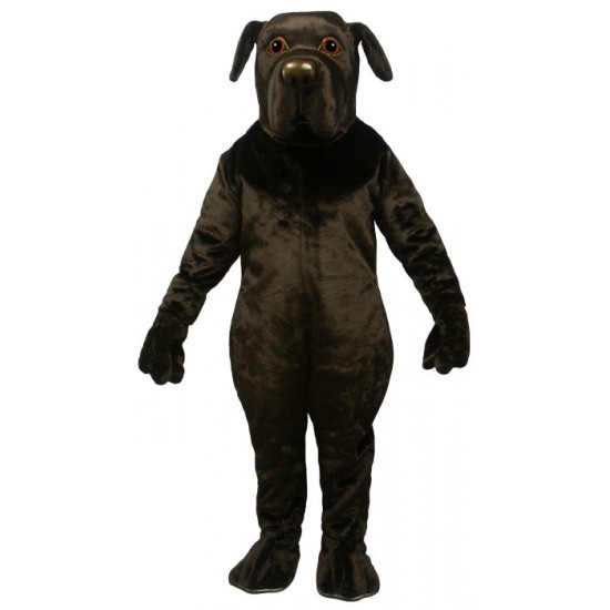 Newfoundland Dog Mascot Costume #892-Z 