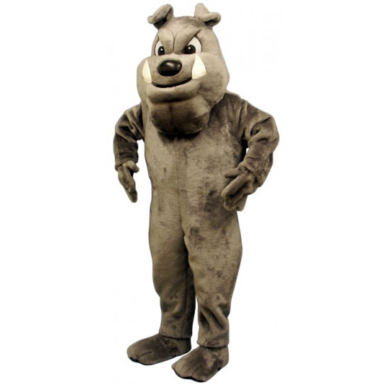 Buster Bulldog Mascot Costume #894-Z 