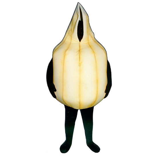 Mascot costume #FC006-Z Onion (Bodysuit not included)
