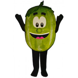 Mascot costume #FC030-Z Wally Watermelon (Bodysuit not included)