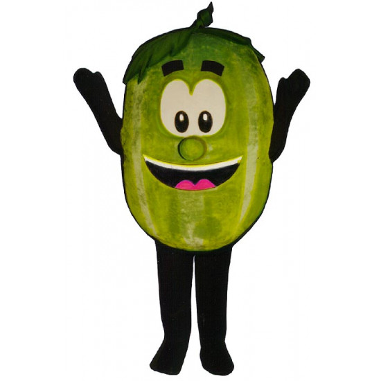 Mascot costume #FC030-Z Wally Watermelon (Bodysuit not included)
