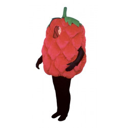 Mascot costume #FC092-Z Fresh Raspberry (Bodysuit not included)