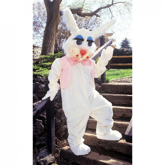 Peter Rabbit Mascot Costume #100 